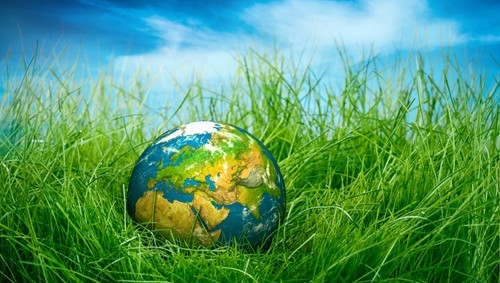 UNDERSTANDING THE BASICS OF KEY REGULATIONS IN MEXICO: ENVIRONMENT