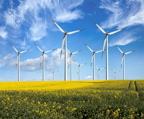 Ienova, a Mexican energy firm, has plans to support renewable energy, which will likely benefit manufacturers.