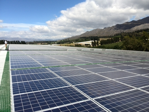 Rows and rows of solar panels that are being used above manufacturing plants.