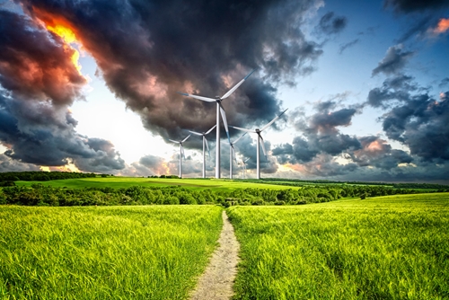 A picture of a large green field ending with some large wind energy turbines in the background.